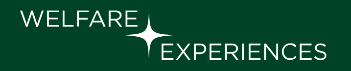 A green logo with white text that says welfare experiences. There is a white four pointed star separating the two words 